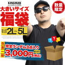 福袋 大きいサイズ メンズ 決算処分 運試しランダム3点入り 数量限定【返品交換不可】メンズ福袋 ストリート系 ワークマン 2L 3L 4L 5L XL XXL 3XL 4XL 5XL