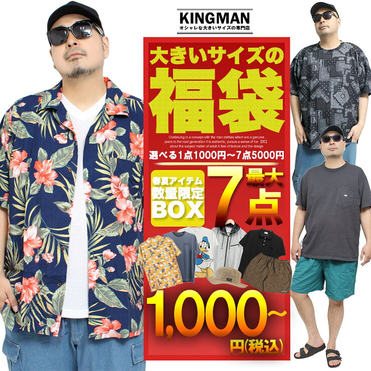数量限定 【1点1000円〜7点5000円】「真夏の最強福袋」 メンズ 大きいサイズ M〜5L 対応 まで 2026 サマー福袋 高コスパ Tシャツ 半袖 薄手 涼しい 通気性 速乾 UV対策 カジュアル スポーツ ゴルフ ブランド セット コーデセット ワークマン
