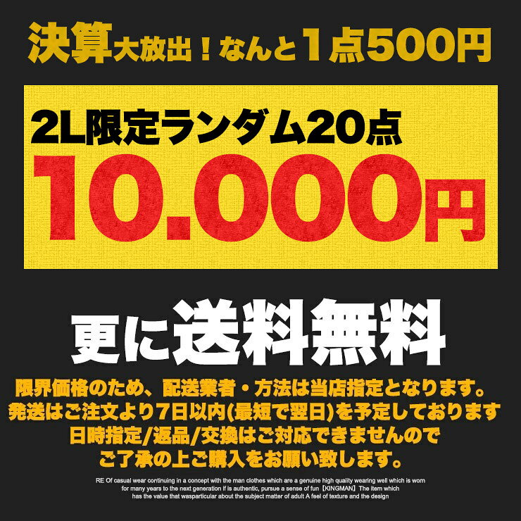 数量限定 【1点1000円〜20点10000円】「真夏の最強福袋」 メンズ 大きいサイズ M〜...