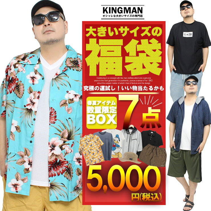 数量限定 【7点5000円】「真夏の最強福袋」 メンズ 大きいサイズ M～5L ...
