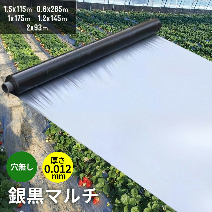 商品情報 【製品仕様】 商品タイプ：穴なし カラー：シルバー／ブラック 材質：ポリエチレン（PE） 厚さ：約0.012mm 銀黒タイプ マルチシート（シルバー・ブラックタイプ） 反射効果＋遮光効果を兼ね備えた高機能マルチ！ 銀黒マルチは、表面のシルバーによる光反射効果と、裏面のブラックによる遮光効果を組み合わせた農業用マルチシートです。 害虫対策・雑草抑制・地温管理をサポートし、幅広い野菜栽培に活用できます。 特徴 ● 光の反射で害虫対策をサポート シルバー面が太陽光を反射し、アブラムシなどの害虫が寄りにくい環境づくりをサポートします。 ● ブラック面で雑草の発生を抑制 光を遮ることで雑草の成長を抑え、除草作業の負担軽減に役立ちます。 ● 地温・水分を適度に管理 夏場の地温上昇を抑えながら、土壌の乾燥を防ぎ安定した栽培環境をサポートします。 ● 泥はねを防ぎ、作物を清潔に保つ 雨や水やりによる土の跳ね返りを抑え、病気予防にも役立ちます。 適応作物 トマト・キュウリ・ナス・ピーマン・イチゴ・スイカ・メロン・キャベツ・白菜・ネギなど おすすめの使用シーン ● 春〜秋の野菜栽培 ● 夏場の高温期の栽培 ● アブラムシなどの害虫対策を重視したい場合 ● 雑草対策をしながら栽培したい場合 ● 家庭菜園・園芸・農業用資材として 使用上の注意 ● 本来の用途以外には使用しないでください。 ● 火気の近くで使用・保管しないでください。 ● 作業時は安全のため手袋などを着用してください。 ● 使用しない場合は屋内の冷暗所に保管してください。 ● お子様の手の届かない場所に保管してください。 関連キーワード 農業用マルチシート 農ポリ 透明マルチ 穴なしマルチ 透明マルチシート 農業資材 マルチシート マルチングシート 家庭菜園 園芸用品 園芸資材 ガーデニング資材 畑 地温上昇 保温 保湿 雑草対策 土壌消毒 促成栽培 農業用資材 農業用マルチシート　農ポリ 農業用マルチシート 銀黒マルチ（無孔）ストロングマルチ（無孔）シート マルチ 農業資材 マルチ マルチシート 農業用マルチ 家庭菜園 園芸用品 マルチング 園芸資材 農業用マルチシート 農業用資材 ガーデニング資材 雑草防止 マルチ（無孔） シルバー マルチシート シルバーマルチ マルチング 農業用マルチ 防草 シート 農業 農業資材 家庭菜園 園芸用品 畑 雑草対策 防虫シート 虫よけ 虫除け マルチングシート 防虫マルチ 菜園 防草用品 園芸用具 透明マルチ（穴無し）マルチシート 地温上昇効果 農業用マルチ シート 農業 マルチング 農業資材 ガーデニング 家庭菜園 園芸用品 園芸資材 マルチ 畑 とうめいマルチ 農ポリ 一般農ポリ 農業用ポリシート トンネル用 小型トンネルフィルム 農業用マルチシート 透明マルチ ビニールハウス 農業用ビニールシート 温室 保温カバー 農業 園芸 ガーデニング 農作業 家庭菜園 栽培 資材 UV安定化シート イベント 建築養生商品情報 【製品仕様】 商品タイプ：穴なし カラー：シルバー／ブラック 材質：ポリエチレン（PE） 厚さ：約0.012mm 銀黒タイプ マルチシート（シルバー・ブラックタイプ） 反射効果＋遮光効果を兼ね備えた高機能マルチ！ 銀黒マルチは、表面のシルバーによる光反射効果と、裏面のブラックによる遮光効果を組み合わせた農業用マルチシートです。 害虫対策・雑草抑制・地温管理をサポートし、幅広い野菜栽培に活用できます。 特徴 ● 光の反射で害虫対策をサポート シルバー面が太陽光を反射し、アブラムシなどの害虫が寄りにくい環境づくりをサポートします。 ● ブラック面で雑草の発生を抑制 光を遮ることで雑草の成長を抑え、除草作業の負担軽減に役立ちます。 ● 地温・水分を適度に管理 夏場の地温上昇を抑えながら、土壌の乾燥を防ぎ安定した栽培環境をサポートします。 ● 泥はねを防ぎ、作物を清潔に保つ 雨や水やりによる土の跳ね返りを抑え、病気予防にも役立ちます。 適応作物 トマト・キュウリ・ナス・ピーマン・イチゴ・スイカ・メロン・キャベツ・白菜・ネギなど おすすめの使用シーン ● 春〜秋の野菜栽培 ● 夏場の高温期の栽培 ● アブラムシなどの害虫対策を重視したい場合 ● 雑草対策をしながら栽培したい場合 ● 家庭菜園・園芸・農業用資材として 使用上の注意 ● 本来の用途以外には使用しないでください。 ● 火気の近くで使用・保管しないでください。 ● 作業時は安全のため手袋などを着用してください。 ● 使用しない場合は屋内の冷暗所に保管してください。 ● お子様の手の届かない場所に保管してください。 関連キーワード 農業用マルチシート 農ポリ 透明マルチ 穴なしマルチ 透明マルチシート 農業資材 マルチシート マルチングシート 家庭菜園 園芸用品 園芸資材 ガーデニング資材 畑 地温上昇 保温 保湿 雑草対策 土壌消毒 促成栽培 農業用資材 農業用マルチシート　農ポリ 農業用マルチシート 銀黒マルチ（無孔）ストロングマルチ（無孔）シート マルチ 農業資材 マルチ マルチシート 農業用マルチ 家庭菜園 園芸用品 マルチング 園芸資材 農業用マルチシート 農業用資材 ガーデニング資材 雑草防止 マルチ（無孔） シルバー マルチシート シルバーマルチ マルチング 農業用マルチ 防草 シート 農業 農業資材 家庭菜園 園芸用品 畑 雑草対策 防虫シート 虫よけ 虫除け マルチングシート 防虫マルチ 菜園 防草用品 園芸用具 透明マルチ（穴無し）マルチシート 地温上昇効果 農業用マルチ シート 農業 マルチング 農業資材 ガーデニング 家庭菜園 園芸用品 園芸資材 マルチ 畑 とうめいマルチ 農ポリ 一般農ポリ 農業用ポリシート トンネル用 小型トンネルフィルム 農業用マルチシート 透明マルチ ビニールハウス 農業用ビニールシート 温室 保温カバー 農業 園芸 ガーデニング 農作業 家庭菜園 栽培 資材 UV安定化シート イベント 建築養生