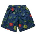 ナインルーラーズ NINE RULAZ LINE Kush And Tequila Mesh Shorts メッシュショーツ ショートパンツ NRSS16-041