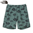 ノースフェイス パンツ アロハベントショーツ THE NORTH FACE メンズ NB42330 ショートパンツ 総柄 UVカット 速乾 通気性 アウトドア セットアップ 春夏 Aloha Vent Short 静電防止 軽量 ストリート ファッション カジュアル プレゼント ギフト(4)