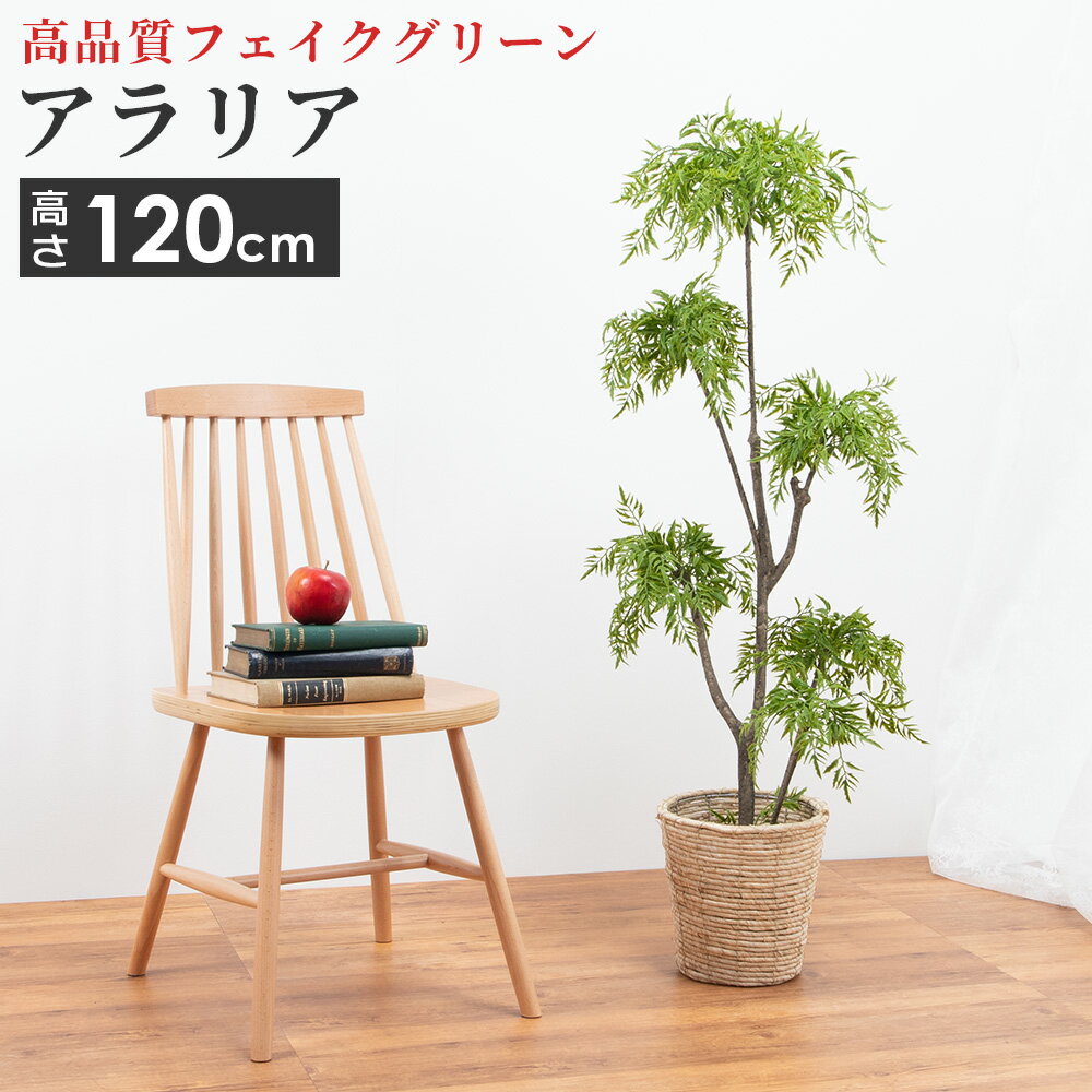 人工観葉植物 中型 フェイクグリーン 大型 人工 観葉植物 アラリア 6号サイズ 鉢カバー セット インテリア 雑貨 リビング 玄関 枯れない 衛生的 ロビー テラス お店 オフィス 医院 飲食店 サロン テレワーク 癒し アーティフィシャルフラワー プレゼント ギフト おしゃれ