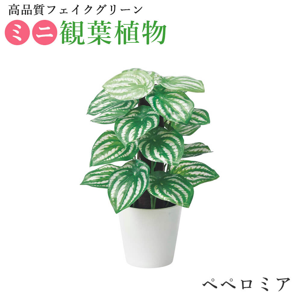 ミニ観葉植物 贈り物 人工 観葉植物 卓上 ミニ ポット モンステラ ポトス ペペロミア フィロ 実用的 鉢 癒しボックス インテリア フェイク グリーン 造花 枯れない 衛生的 雑貨 かっこいい プレゼント ギフト おしゃれ