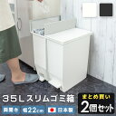 ゴミ箱 35L 2個 セット 35リットル ふた付き 分別 ペダル スリム 薄型 ダストボックス 日本製 まとめ買い キャスター付き ごみ箱 観音開き 両開き レジ袋 足踏み ペット いたずら 防止 薄型 縦型 蓋付き 臭わない 生ごみ 中身 見えない キッチン 棚下 新生活 おしゃれ