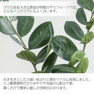 送料無料 リビング 人工観葉植物 ポットカバー付き 衛生的花 ガーデン Diy 枯れない ザミフォリア 観葉植物 フェイク 大型 ザミフォリア 高品質 リアル アーティフィシャルフラワー 造花 鉢 ポット インテリア 癒し グリーン 目隠し リビング 玄関 寝室 書斎 自宅 送料無料 リビング 人工観葉植物 ポットカバー付き 衛生的花 ガーデン Diy 枯れない ザミフォリア 観葉植物 フェイク 大型 ザミフォリア 高品質 リアル アーティフィシャルフラワー 造花 鉢 ポット インテリア 癒し グリーン 目隠し リビング 玄関 寝室 書斎 自宅