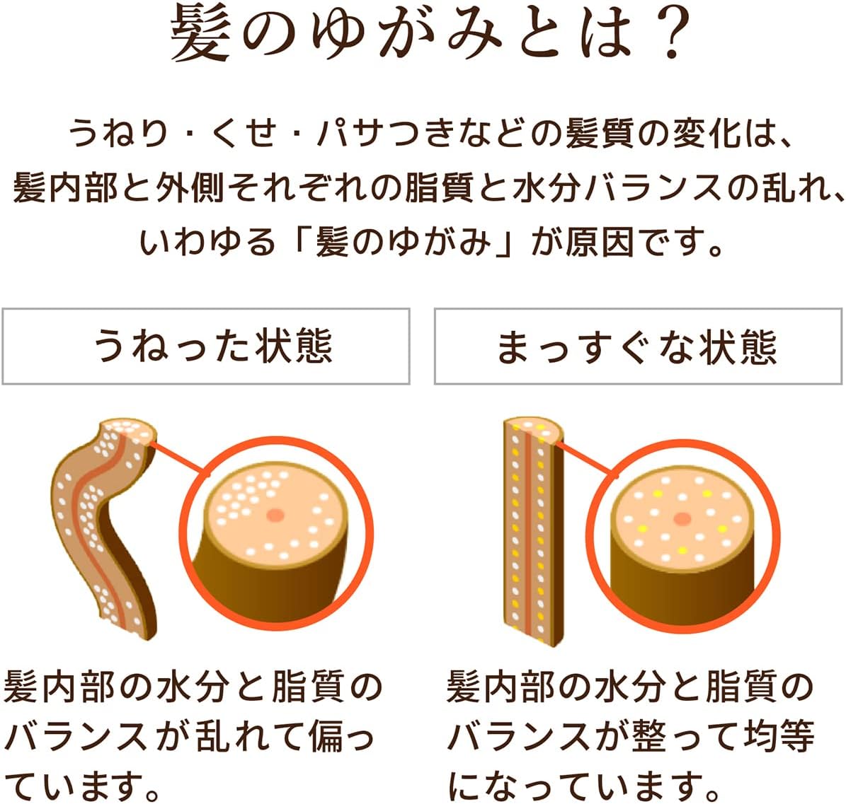 ディアボーテ プレミアムトリートメントオイル (モイスト) 60ml | ヒマワリ ヘアオイル スタイリング剤 ヘアケア うねり くせ毛 パサつき 湿気 ダメージ補修 kingshop-10001262 キングショップ サンプル画像3
