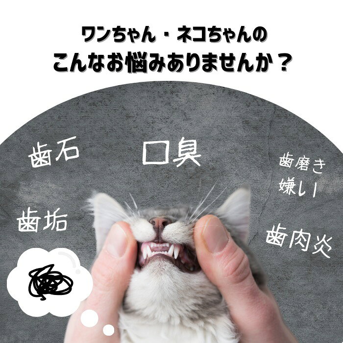 プロバイオデンタルPET 粉末タイプ 7.35g 4個セット プレミアモード 風味なし 猫 犬 小動物用 歯磨き サプリ 乳酸菌 ふりかけ 口臭 歯垢 口内炎 歯肉炎 歯周病 歯石 シニア デンタルケア お口すっきり kingsmarche-10001604 王様のマルシェ02 サンプル画像2
