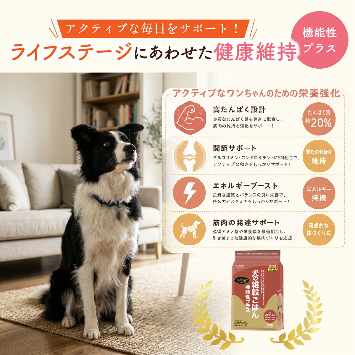 アニマルワン 犬の雑穀ごはん 機能性プラス 800g 選べる10個セット (10袋セット) アニマル・ワン ドッグフード ドライ チキン 成長期 成犬 シニア 国内産 小麦フリー 総合栄養食 無添加 乳酸菌 kingsmarche-10001434 王様のマルシェ02 サンプル画像2