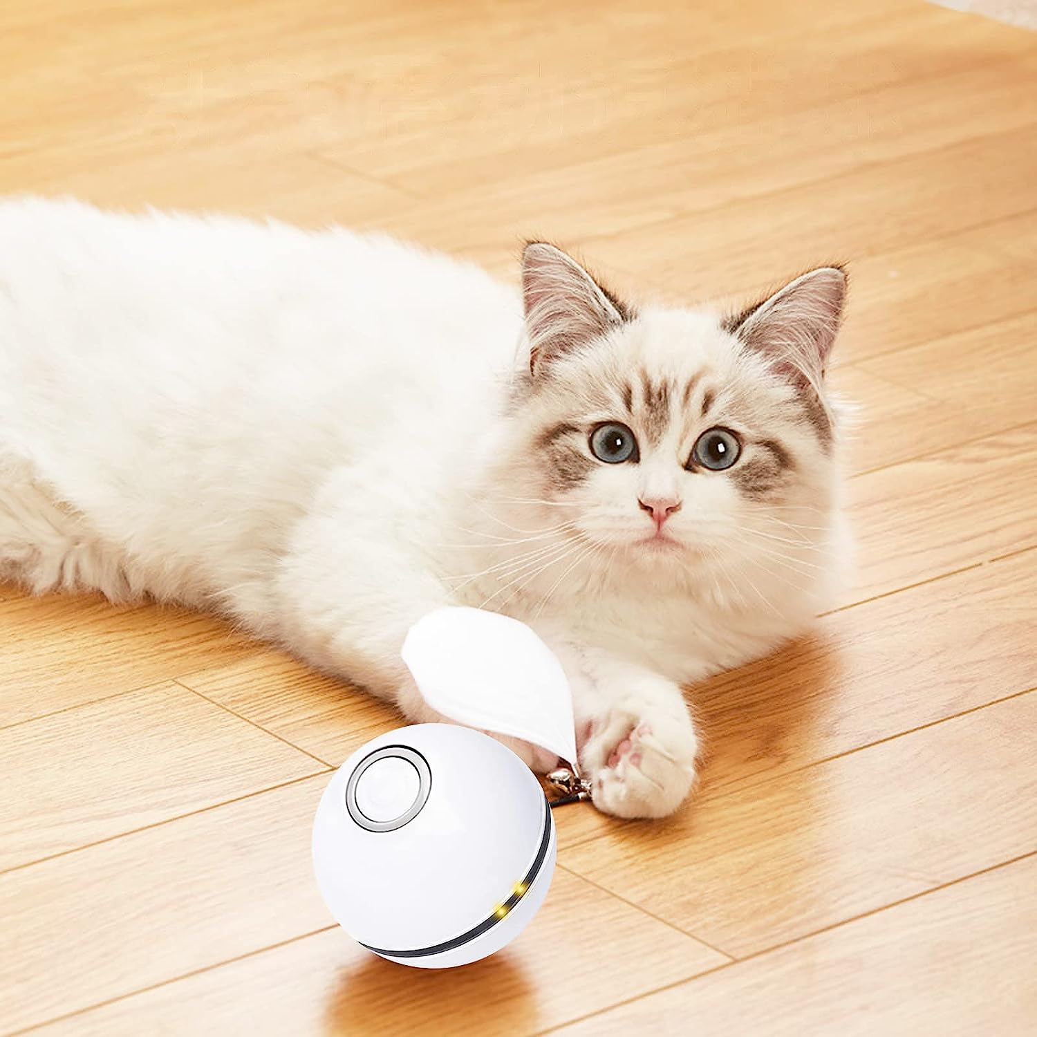 猫 自動 おもちゃ 猫 電動ボール 玩具 猫 電動 おもちゃ ボール 猫 光るボール 猫 おもちゃ 自動 猫 おもちゃ 電動 猫の光るおもちゃ 猫の羽のベルのおもちゃ USB充電、自動360°ローリングロボット猫の動くおもちゃ、室内猫用【海外通販】