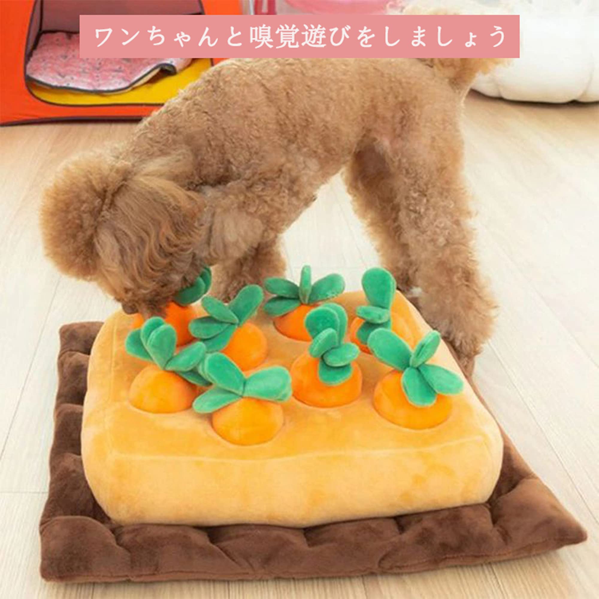 犬 おもちゃ ペット用品 知育玩具 犬 にんじん ノーズワークマット おやつ隠し 犬用品 犬 おもちゃ 噛む ストレス解消 運動不足 家の破壊防止対策 いぬおもちゃ【海外通販】 2