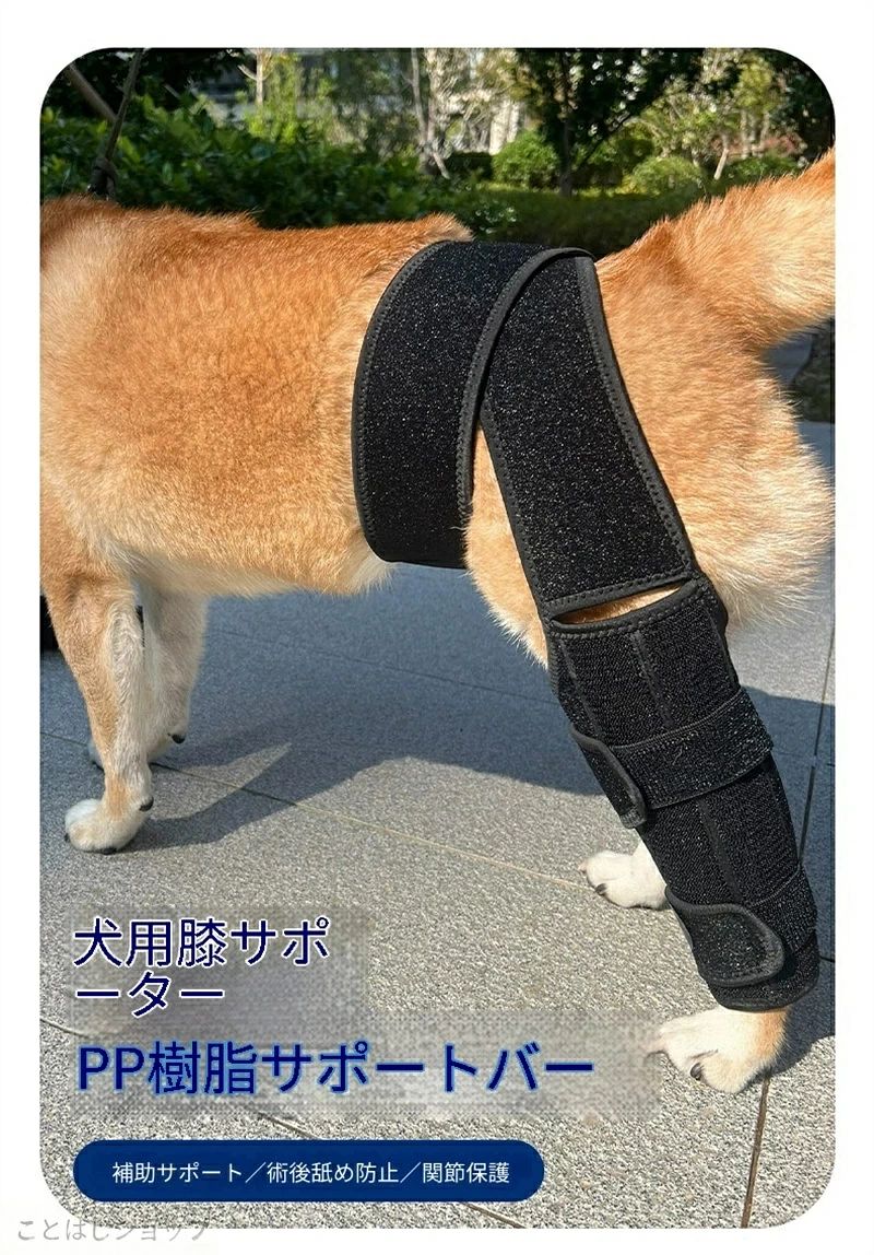 犬用足サポーター 膝保護バンド 術後リハビリ補助ベルト 傷舐め防止レッグカバー ...