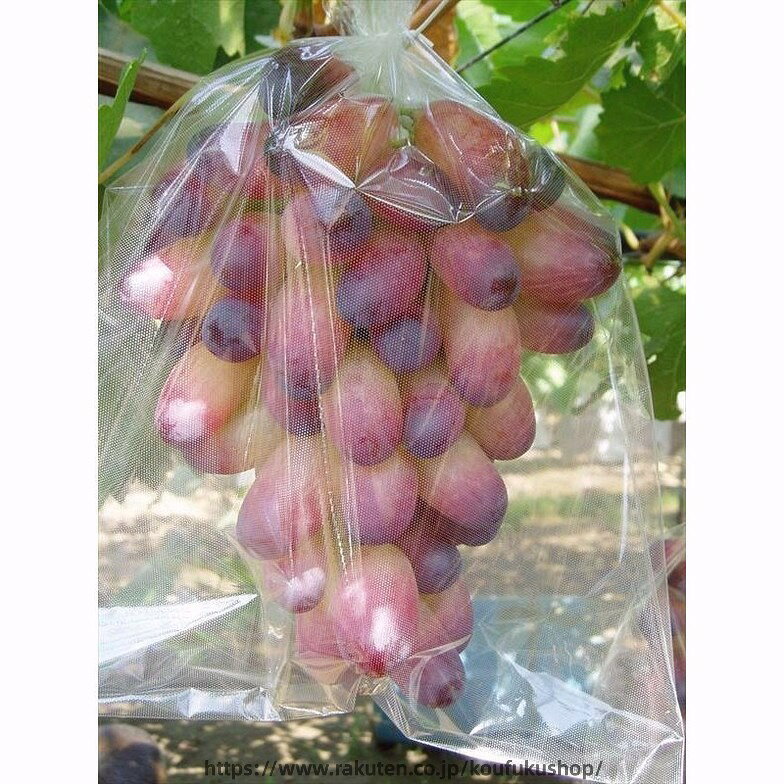 全透明微孔フィルム袋 ブドウ日光カバー袋 果物野菜ラップ袋 ブドウラップ袋 鳥や...