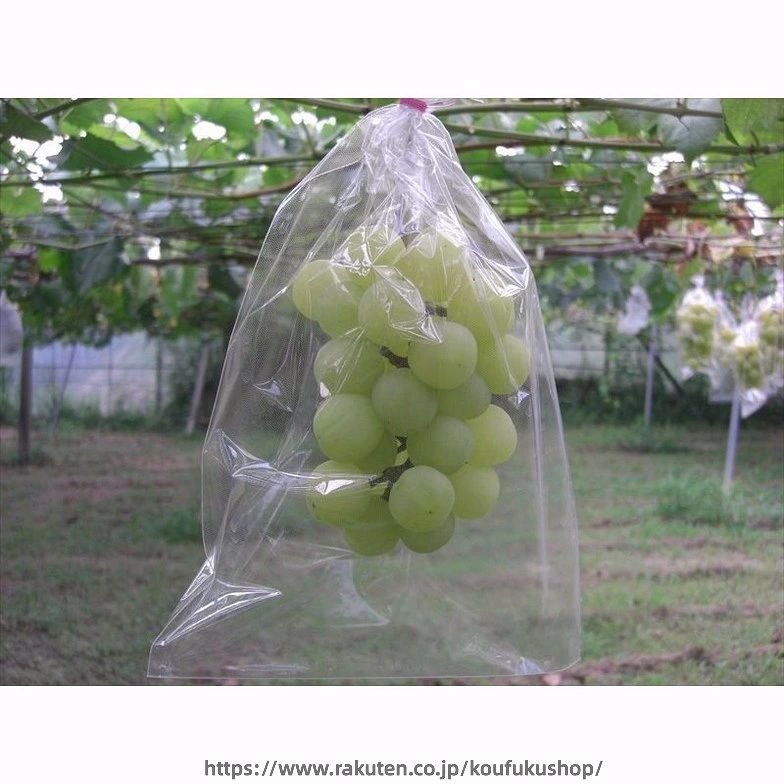 全透明微孔フィルム袋 ブドウ日光カバー袋 果物野菜ラップ袋 ブドウラップ袋 鳥や...