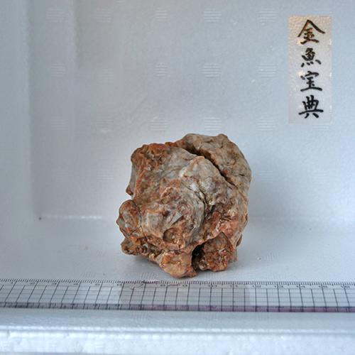 【金魚宝典】天然チベット産石（8cm＋−）☆天然石です！☆