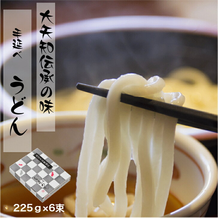 うどん 6束 送料無料 大矢知 金魚印 