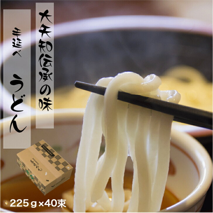 うどん(40束入) 自宅用 業務用 贈答用 金魚印 乾麺 常温保存 無添加 高級手延べめん お供え 渡辺製麺 高級手延めん