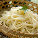 【金魚印】きしめん (40束入)