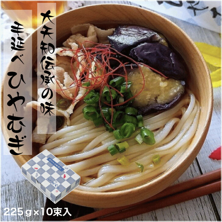 ひやむぎ 10束 うどん 焼きそば パスタ あらゆる麺の代用に 乾麺 おおやち 手延べ 冷や麦 金魚印冷麦 製造直売店 渡辺製麺所