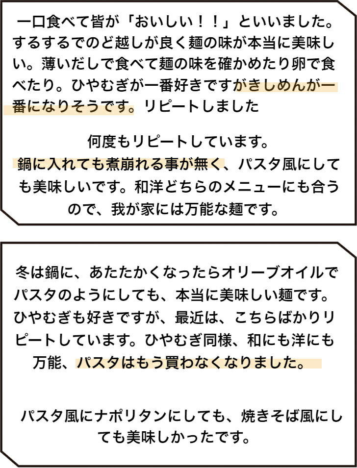 きしめん 27束入 四日市 渡辺手延製麺所 ギフト プレゼント 顔合わせ手土産 自宅用 業務用 乾麺保存食 金魚印 三重県 製造直売 高級手延べ麺 お買い得 三重県特産品 うまくてご麺 umakutegomen 四日市 産地直送 常温食 乾麺 長期保存 食職人手作り お店の味 おおやち 大矢知