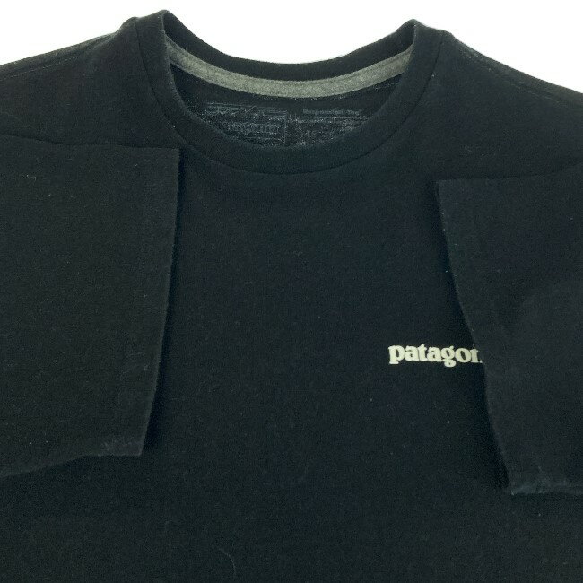 【中古】　patagonia　Tシャツ　半袖　カットソー　トップス　クルーネック　ロゴT　ブランドロゴ　両面プリント　アウトドア　古着