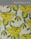 輸入生地 ART GALLERY FABRICS【SGE-14453 Yuma Lemons Mist -Sage】【30cm以上10cm単位 メール便3m】【レモン柄/USAコットン/ブロード生地/AGF/アートギャラリーファブリック/生地/布/布地/ハンドメイド/ソーイング/手芸/キンカ堂】