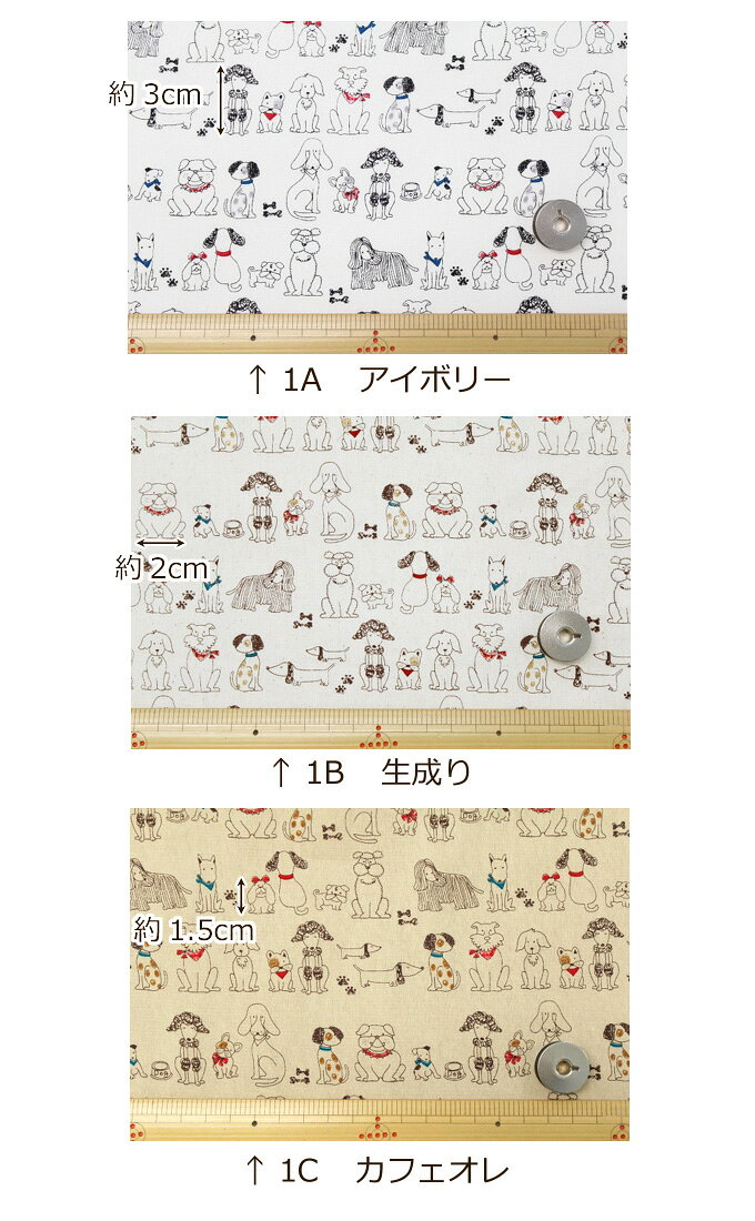 生地 CBポプリン《シンプルわんこボーダー》【30cm以上10cm単位 メール便3m】【綿1...