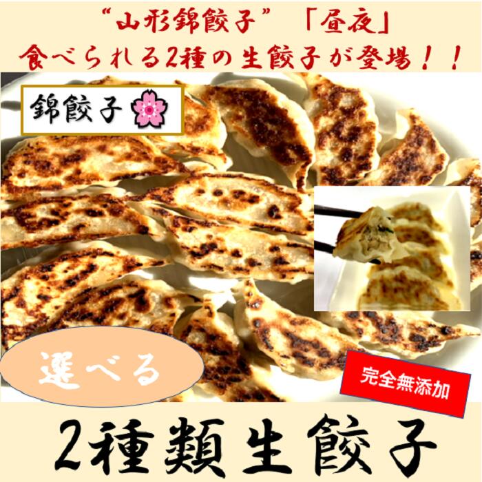 【毎日食べられるヘルシーな餃子】 錦餃子 100個入り 冷凍 生餃子 本場中国 手造り 焼き餃子 国産 野菜 鍋 惣菜 中華 ビール ぎょうざ ギョウザ ギョーザ グルメ 贈答品 送料無料 おつまみ おかず 本格 水餃子 食品 マイニチトッカ