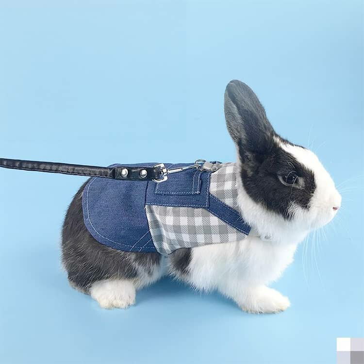 リード チンチラ ウサギ ハーネス 兎の服 兎服 付 うさぎ 夏服用 うさぎ 小動物 モルモット 服 兎 プレーリードッグ チェック ペット 服 胴輪 3