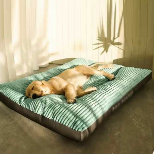 �ڥåȥޥå� �ڥåȥ٥å� ǭ�٥å� �ڥåȥ��å���� ���ѥ��å���� �դ�դ� �ͤ� ������ ���٥å� �淿�� �ͥ��٥å� �ڥåȥ٥å� ���� �緿�� ���� ���ե��� ����ץ� ������� ���ߤ� ��ǭ���� ǭ�ϥ��� ������ ��곰�����С� �̲� �� ��