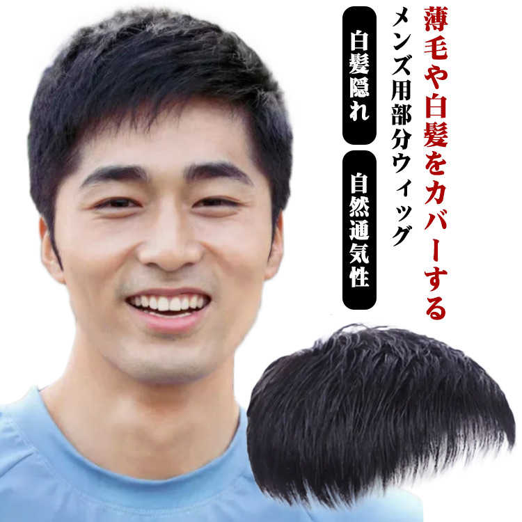 かつら メンズ メンズウィッグ 部分ウィッグ ウィッグ ポイントウィッグ ヘアピース ウィッグ 男性用 増毛 付け毛 脱毛症 薄毛 白髪隠れ トップカバー トップピース 頭頂部 部分かつら 自然 通気性 黒 普段使い