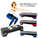 ステップ エクササイズ 2段階高さ調整 室内 昇降台 ステップ ステップ台 エアロビクス 高さ調節 ダイエット トレーニング 踏み台昇降 スローステップ ステッ...