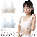ジュニア キッズ ハーフトップ ジュニアブラ スポーツブラ ブラジャー 中学生 小学生 ダンス 下着 女子 ファーストブラ キッズブラ 体操 ノンワイヤー 肌着 綿 発育期 送料無料