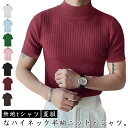 ハイネック カットソー メンズ 半袖 Tシャツ モックネック 無地tシャツ 夏 ハイネックtシャツ 細身 トップス 白 黒 サマーニット タイト 夏服 ダイエット ゴルフウエア ランニング ジム 送料無料