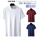 【2枚セット】ハイネック tシャツ 冷感 ゴルフウェア メンズ 半袖 ゴルフtシャツ 無地tシャツ モックネック 春 夏 ティーシャツ トップス 半袖tシャツ ...