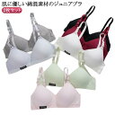 無地 ノンワイヤーブラ ジュニアブラ 子供ブラジャー ブラジャー 中学生 下着 キッズブラ 小学生 女子 綿混 2枚セット 可愛い 2枚セット レディース ガー...