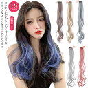 18色展開 かつら エクステ 18色展開 2枚入り カラーエクステ 部分ウィッグ カールヘアー 送料無料 ロングつけ毛 襟足 ポイントウィッグ ボリューム 編み...