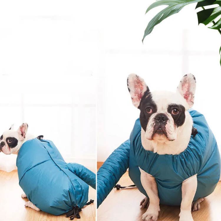 ��XL�������۸�ǭ�� ����Ȣ ®�� �ɥ饤�䡼 �ڥå� ��XL�������۸�ǭ�� �ڥåȴ����� �ڥå� �ɥ饤 ����Ϥ�� �ڥå����� ����Ϥ �ɥ饤�롼��