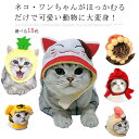 キャットウェア 犬の服 ペットウェア かぶりもの 耳カバー ドッグウェア 犬 服 全15色! 被り物 コスプレ スヌード 猫服 食事 猫用 コスチューム 変身 猫の服 猫用品 小型犬 ネコ 帽子 散歩 干支 正月