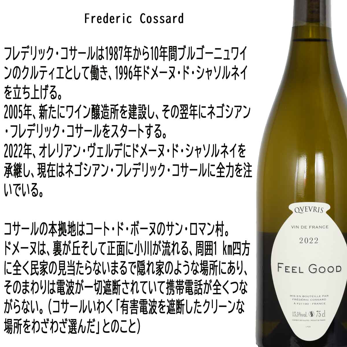 フレデリック・コサール フィール・グッド・クヴェヴリ（白）サヴァニャン 750ml ヴァン・ド・フランスVdF Feel Good Qvevris Frederic Cossard　送料無料ですが北海道・東北は別途送料必要（1000円） kinko-10035813 オーリック サンプル画像2