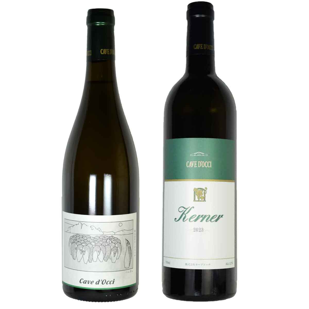 商品詳細 ■商品番号 264711 ■商品種別 ワイン ■内容量 750ml×2 ■アルコール度数 14 ■原産国 - ■産地 - ■メーカー ■原材料 コメント ◆2023 ケルナー ぶどうのポテンシャルとテロワールの表現を目指しているセパージュシリーズ。 ぶどうは北海道余市の契約農園のケルナーです。 2023年はスターターを用いた野生酵母で発酵させました。 野生酵母ならではの柔らかさと果実味がありながらも不安定な要素は一切なくクリアな飲み口で、余市らしいすらっとした酸味が余韻に長く広がります。 ぺんぎんとの違いは亜硫酸の有無。果汁段階で亜硫酸を使用することで野生酵母を使いながらも微生物的な危うさはない綺麗な造りで、今後のセパージュシリーズにおける野生酵母の使い方としてとても可能性を感じます。 ケルナーらしいグレープフルーツやマスカットの香りと柔らかい果実味、口に広がるすらっとした酸味が次の一口、次の一杯に手が伸びるワインです。