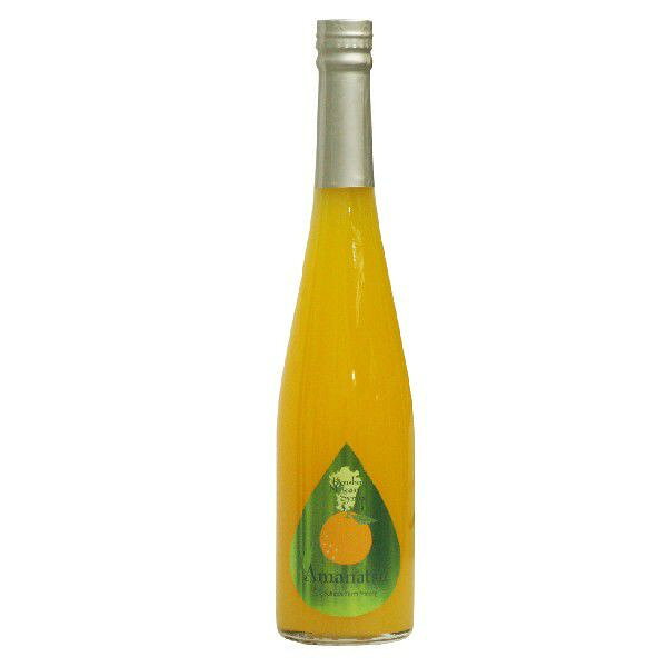 オーリックの福田農場 甘夏みかんシロップ 500ml｜アングル2