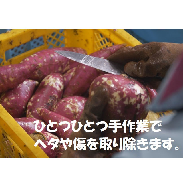 みしま村 25度 1800ml 芋焼酎 三島村 島内製造 kinko-10033434 オーリック サンプル画像3