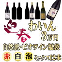 2021年 福袋 自然派ワイン＆ビオワインばかりの12本　ビオワイン オーガニックワイン 酸化防止剤無添加 ※北海道・東北地区は、別途送料1000円が発生します。