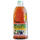 ヒシク つけやったもんせ 1L×4本 セット 藤安醸造