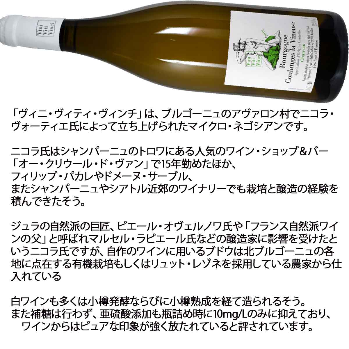 ［2018］ ブルゴーニュ・クランジュ・ラ・ヴィヌーズ シャンヴァン 750ml白 ヴィニ・ヴィティ・ヴィンチBOURGOGNE COULANGES LA VINEUSE CHANVAN BLANC / VINI VITI VINCI kinko-10037086 オーリック サンプル画像3