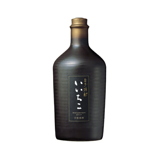 乐天商城 - いいちこ民陶 くろびん 25度 720ml 陶器 三和酒類 大分県