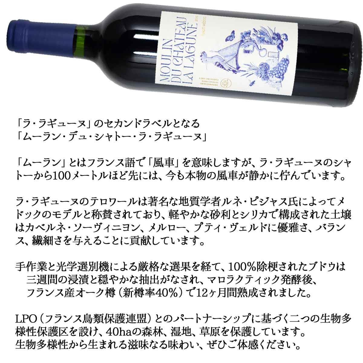 ［2019］［セカンド］ムーラン・デュ・シャトー・ラ・ラギューヌ 750ml赤 フランス・ボルドー地方オー・メドックMoulin du Chateau La Lagune kinko-10038086 オーリック サンプル画像3