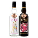XYGIN BLACK GOLD・PINK SILVER 45度 700ml×各1本 シティーハンター クラフトジン 光武酒造 XYZ　※北海道・東北エリアは別途運賃が1000円発生します。･･･